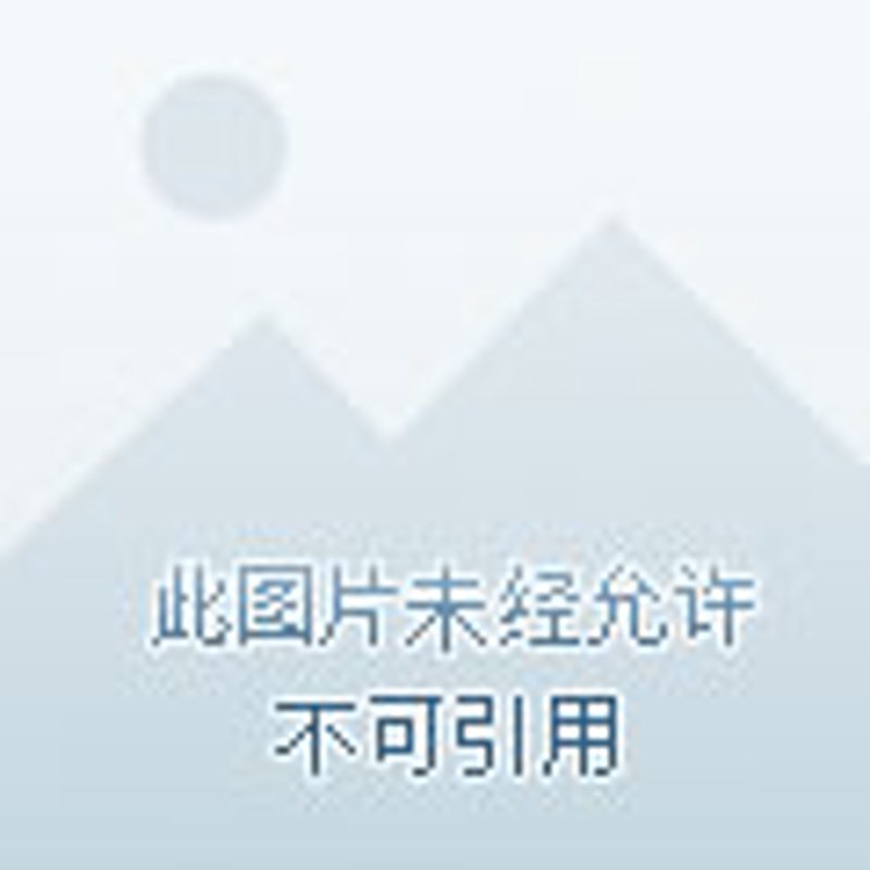 探索绥化的短视频文化新风貌